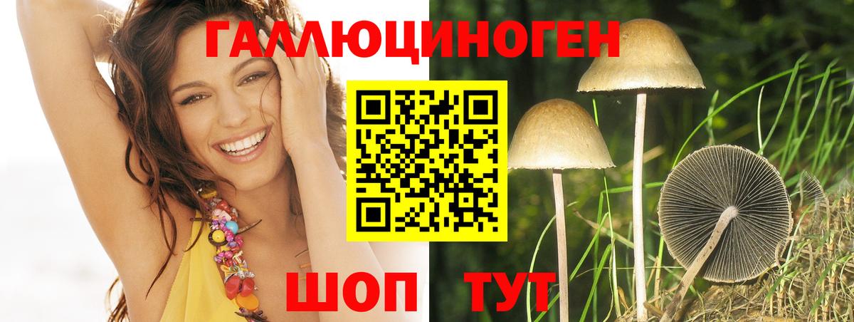 Псилоцибиновые грибы прущие грибы Рославль